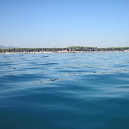 Hotel Il Ponte Cecina  Dış mekan fotoğraf